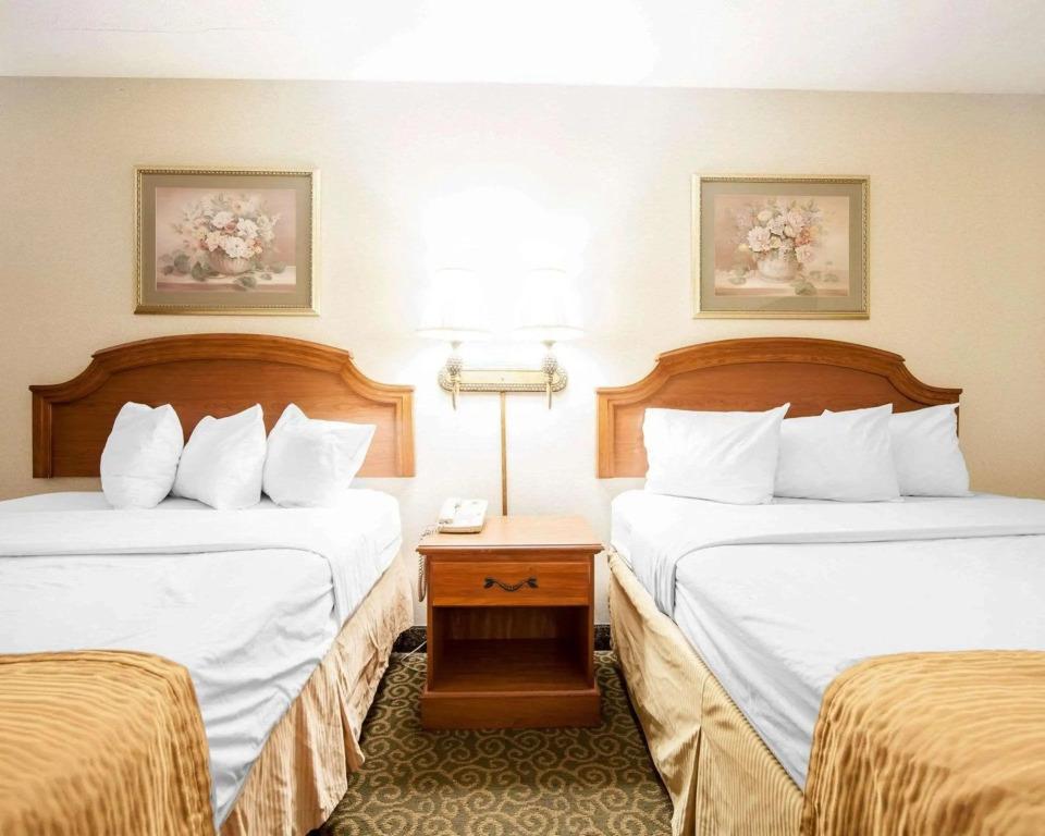 hotel image 21