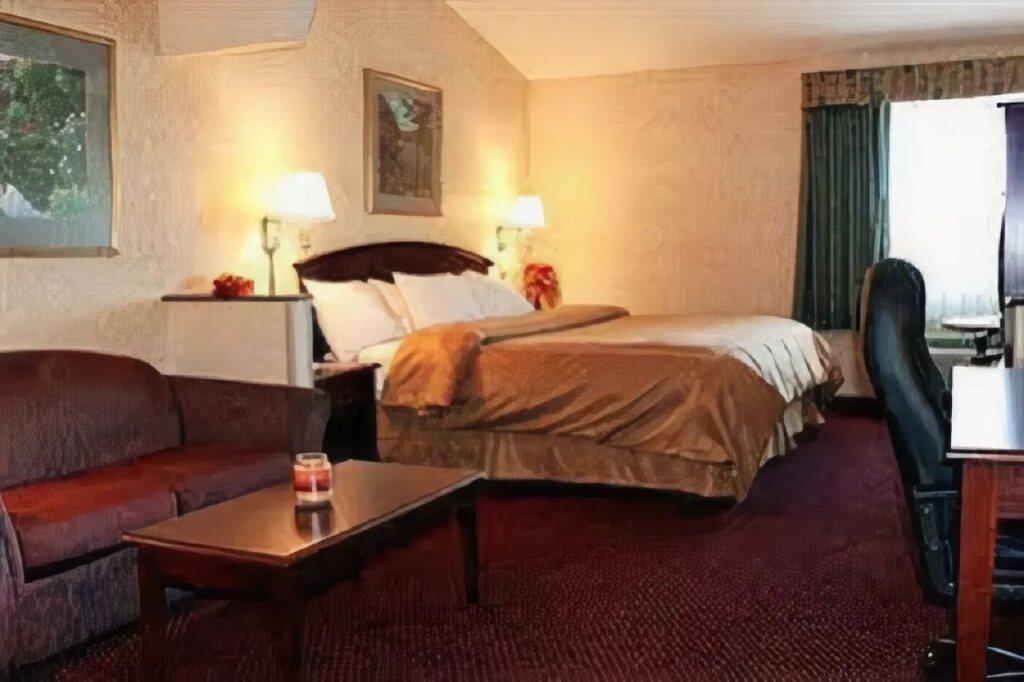 hotel image 8