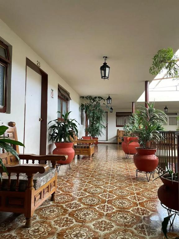 hotel image 13