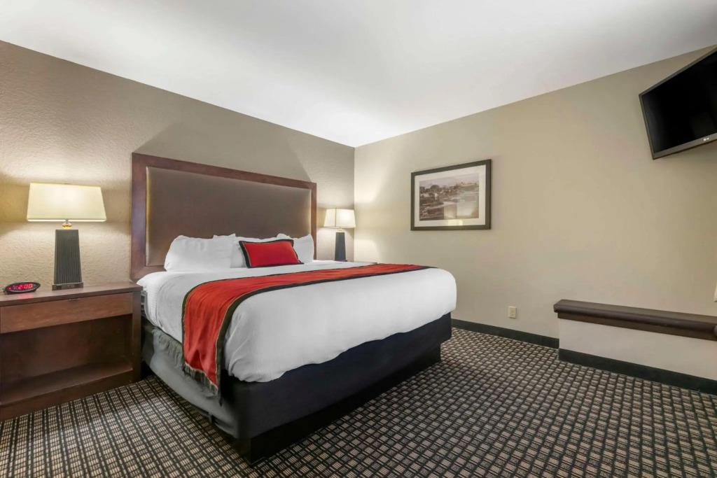 hotel image 42
