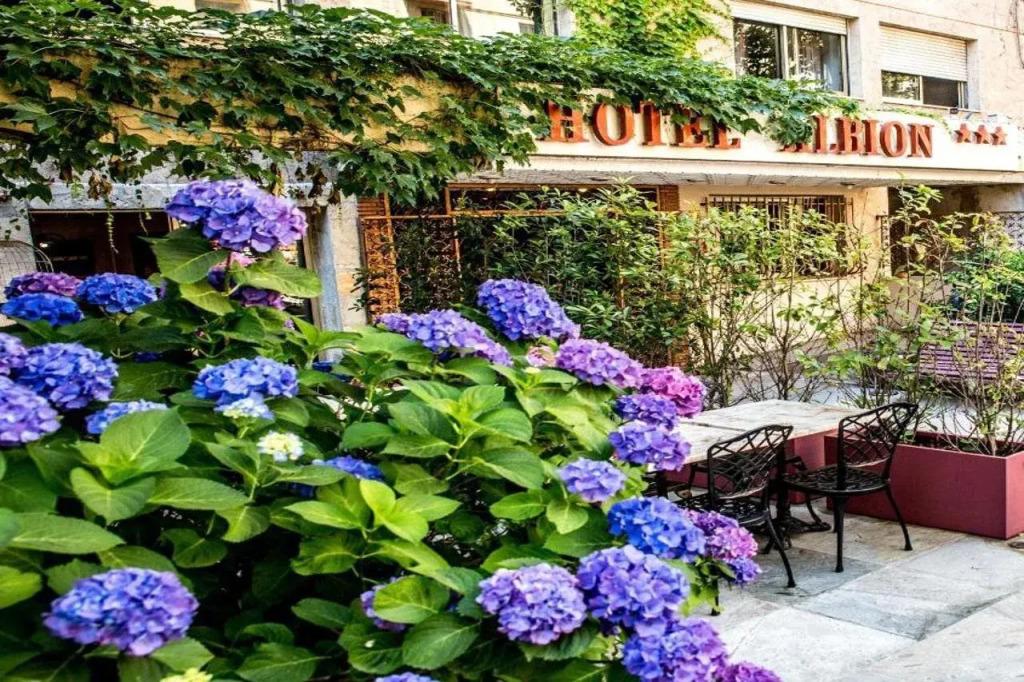 hotel image 21