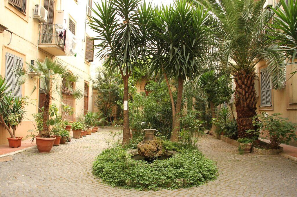 hotel image 8