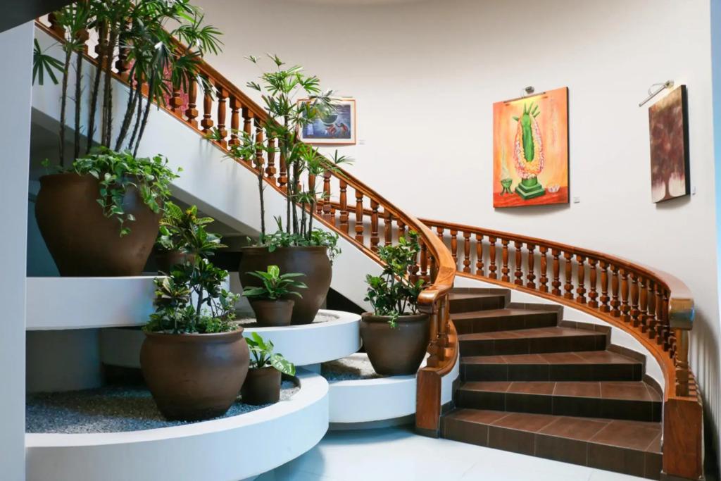 hotel image 9