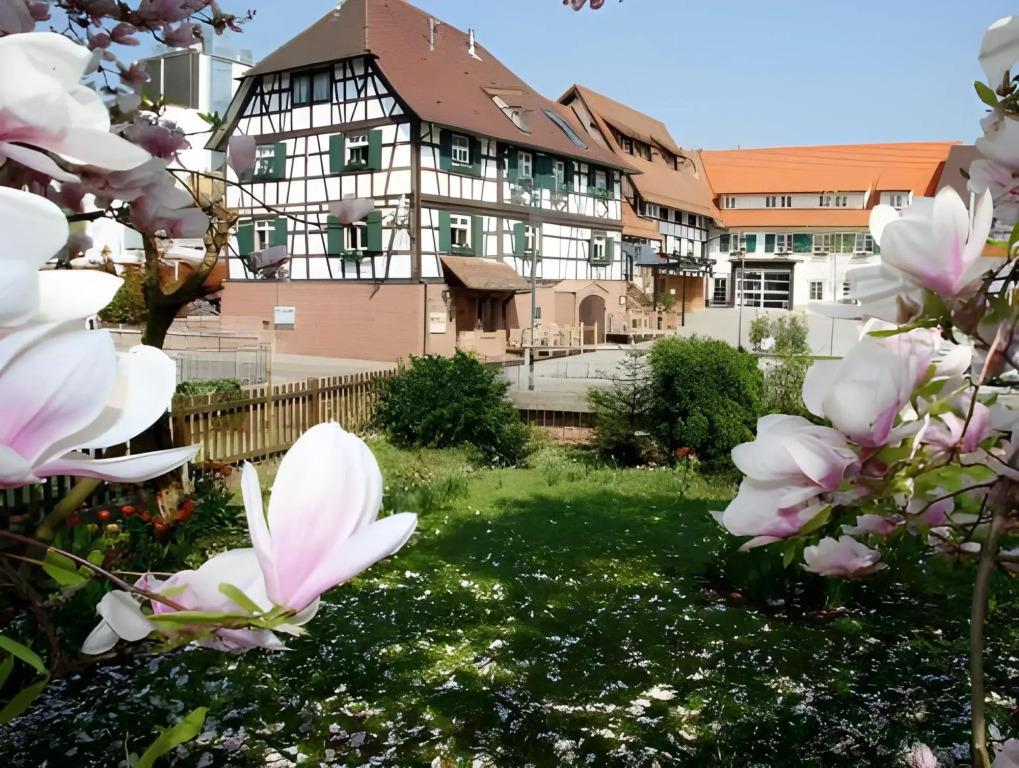 hotel image 21
