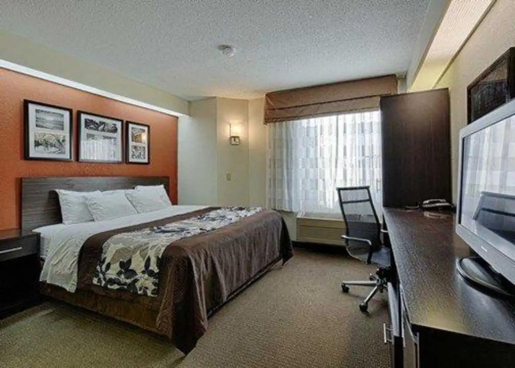hotel image 11