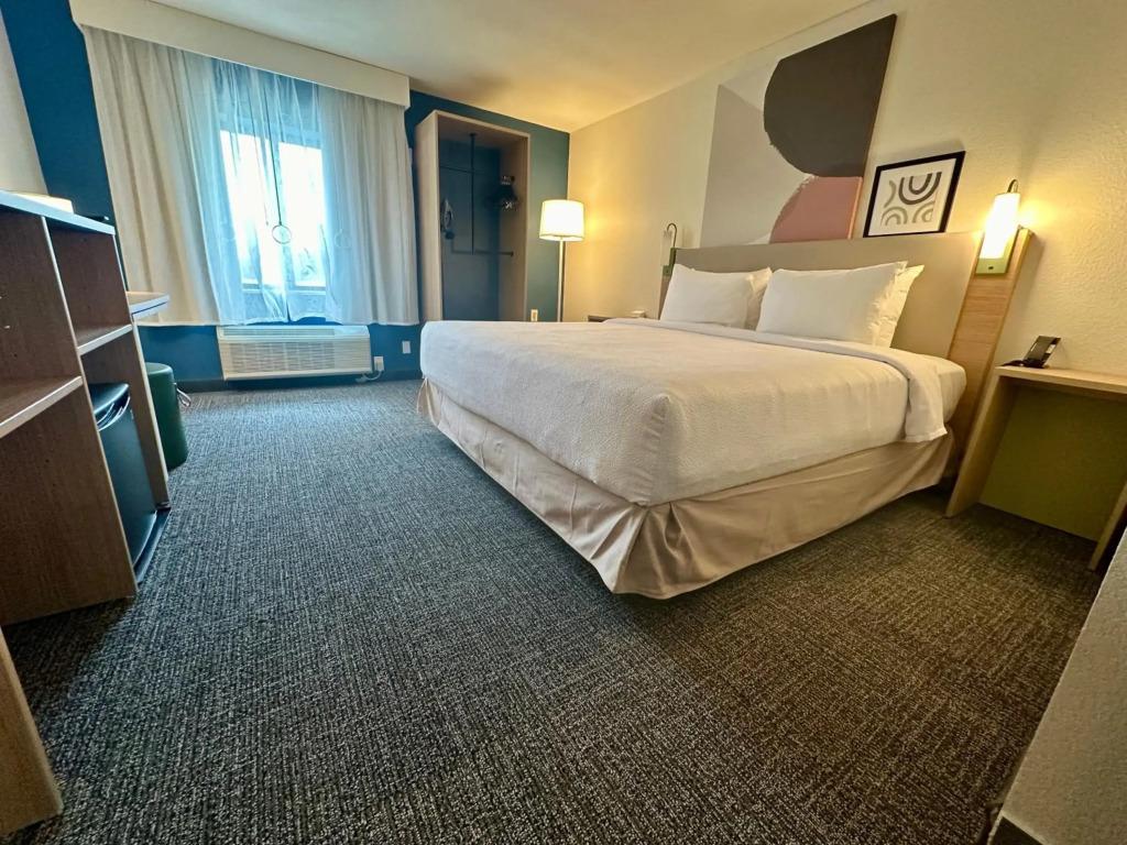 hotel image 20
