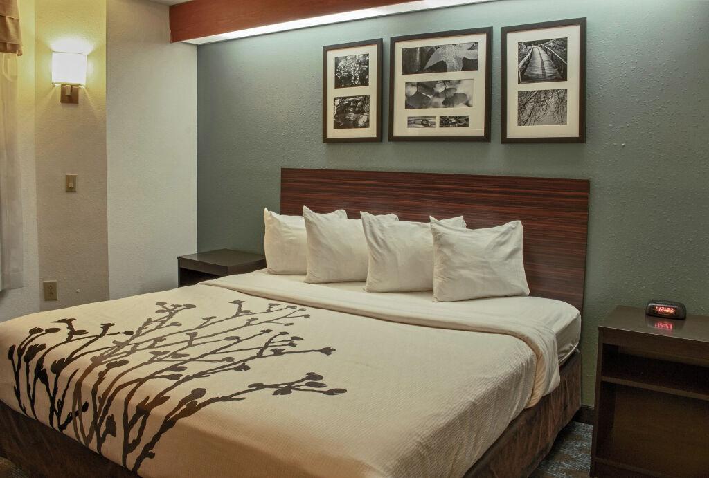hotel image 20