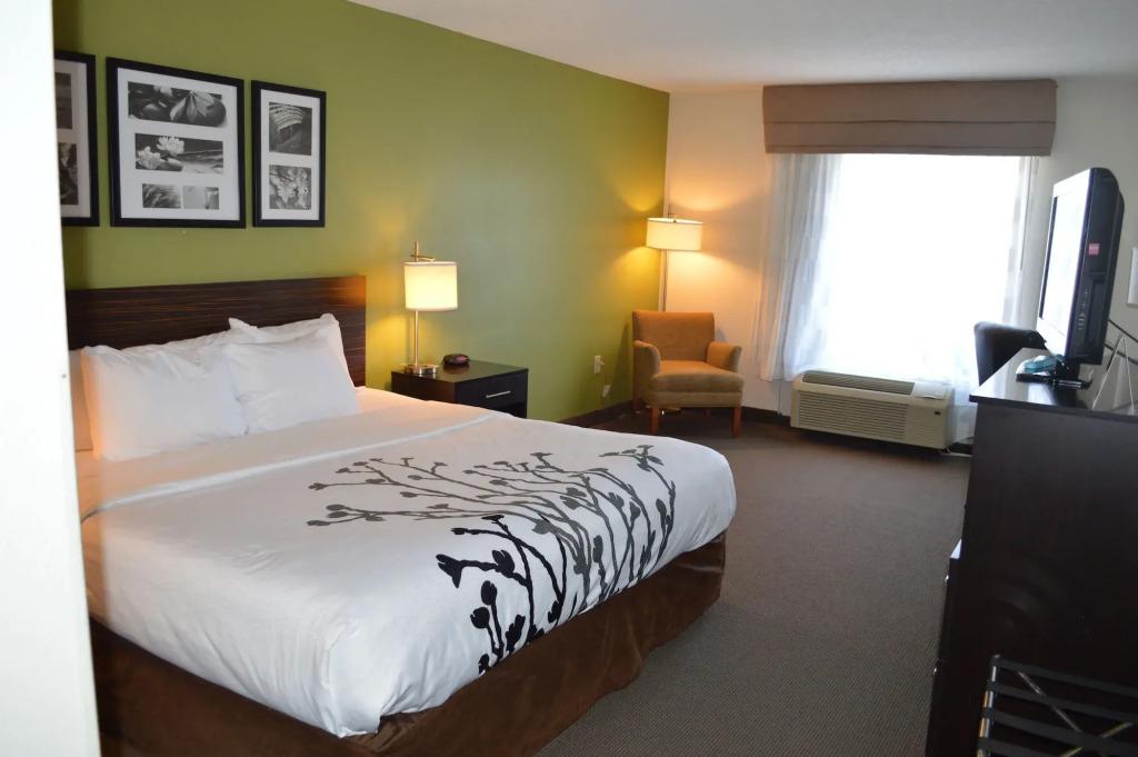 hotel image 44