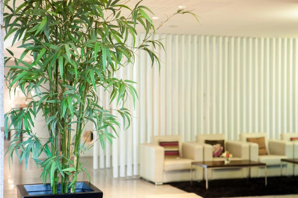 hotel image 27