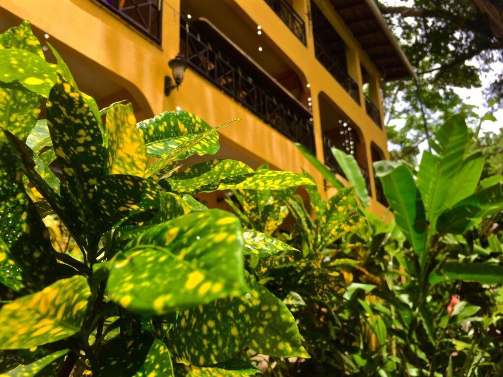 hotel image 12