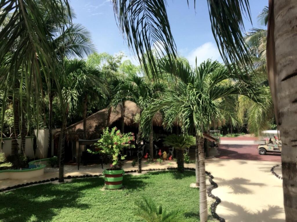 hotel image 15