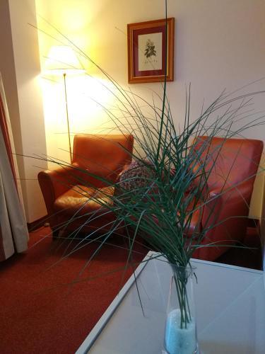 hotel image 37
