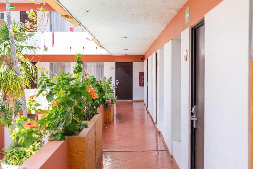 hotel image 27