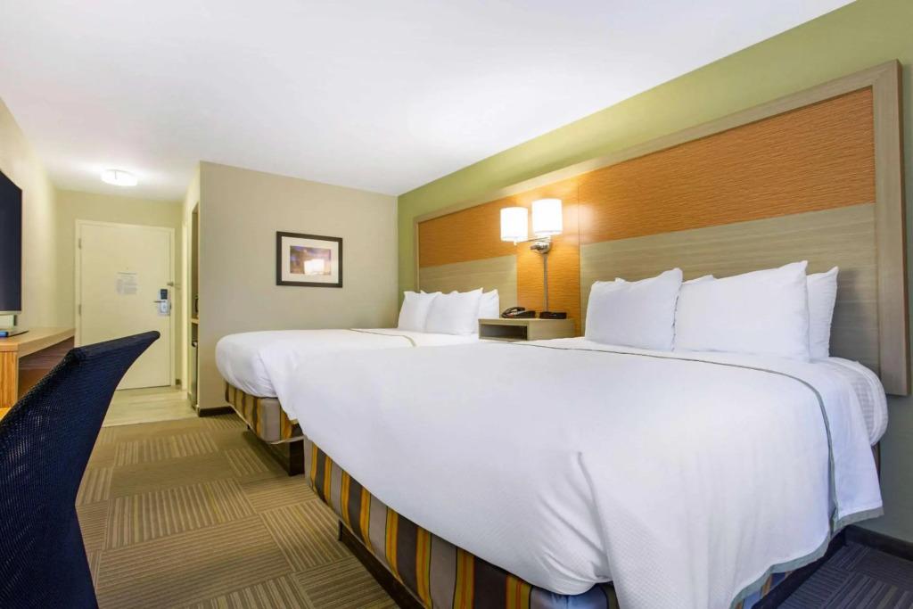 hotel image 24