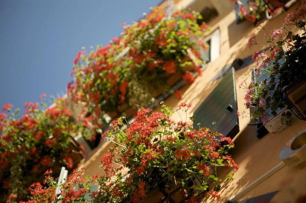 hotel image 28