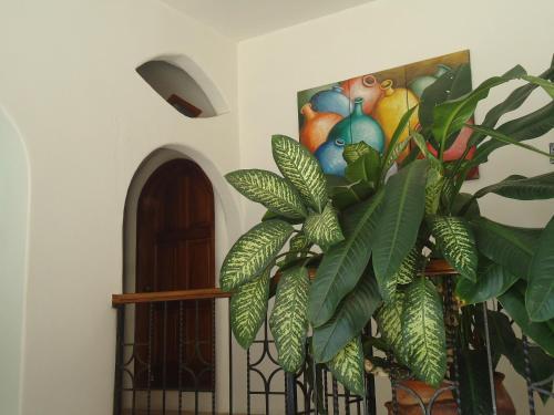 hotel image 15