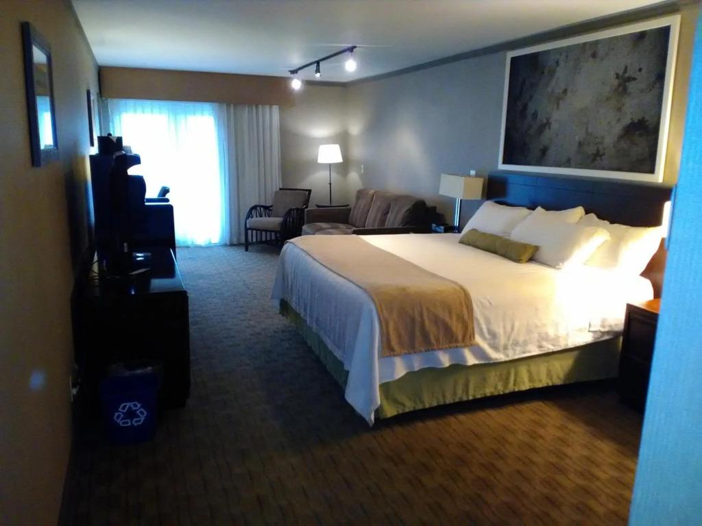 hotel image 39