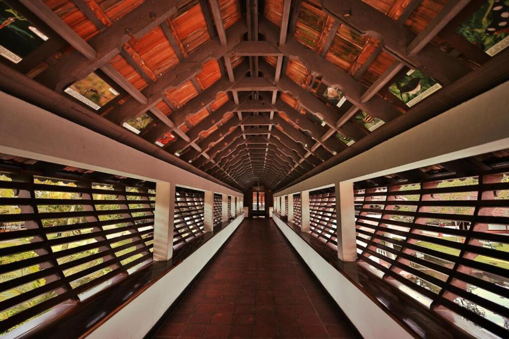 hotel image 33