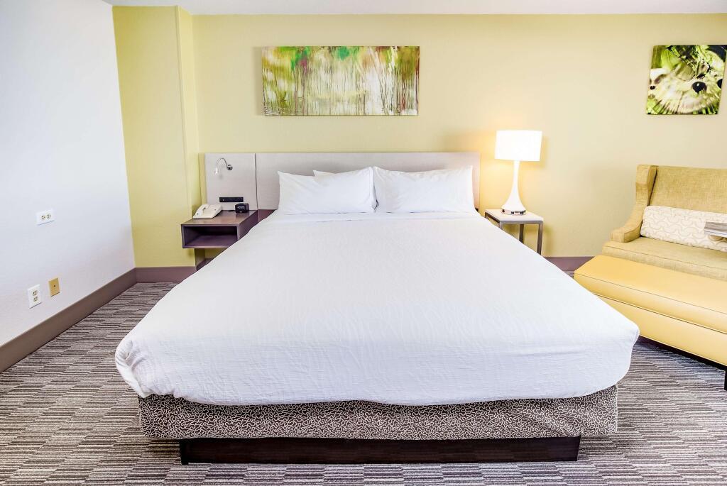 hotel image 21