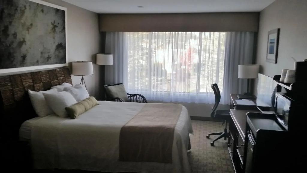 hotel image 44