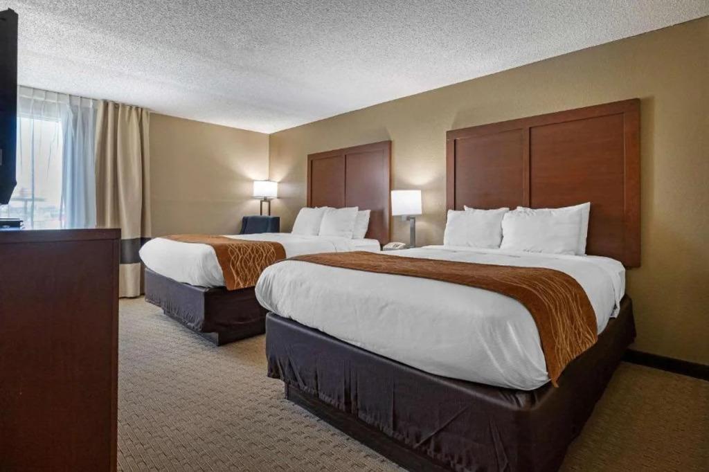 hotel image 20