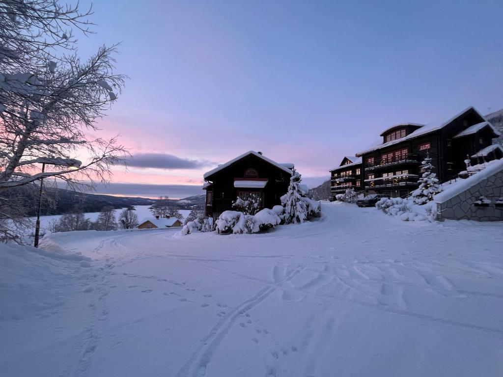 hotel image 24