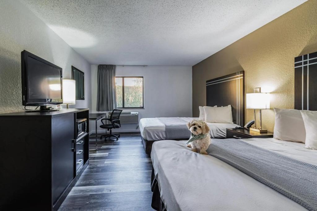 hotel image 17