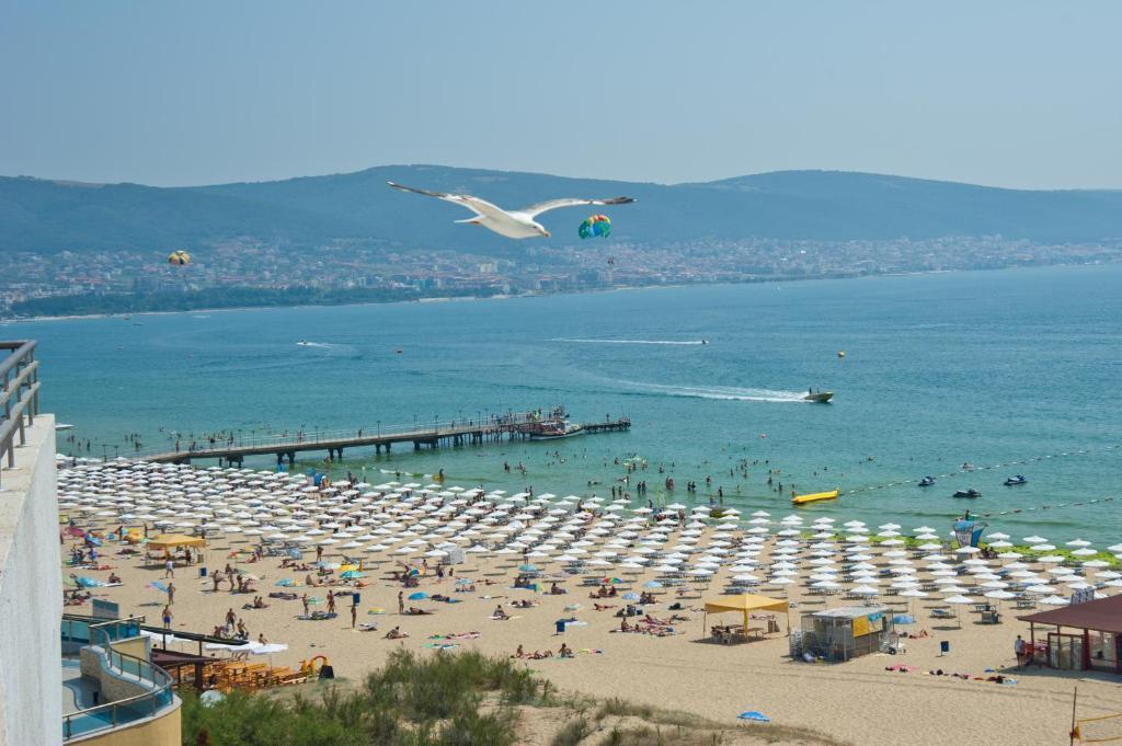 hotel image 49