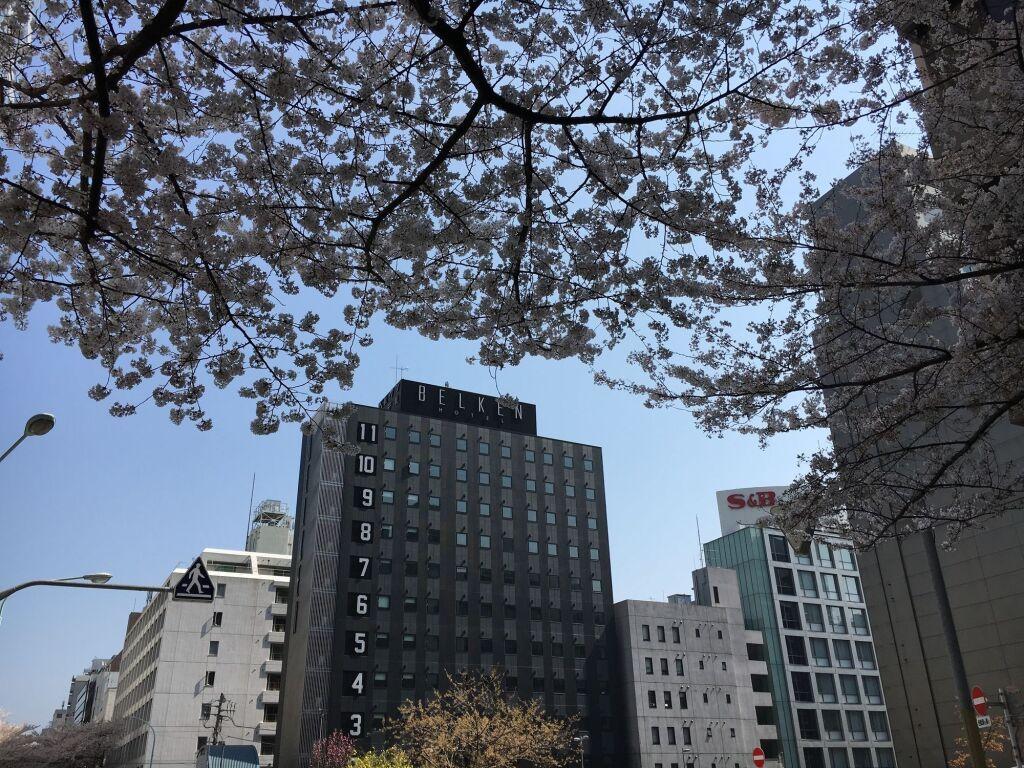 hotel image 15