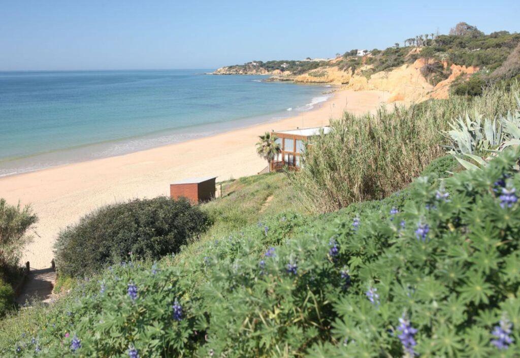 hotel image 39