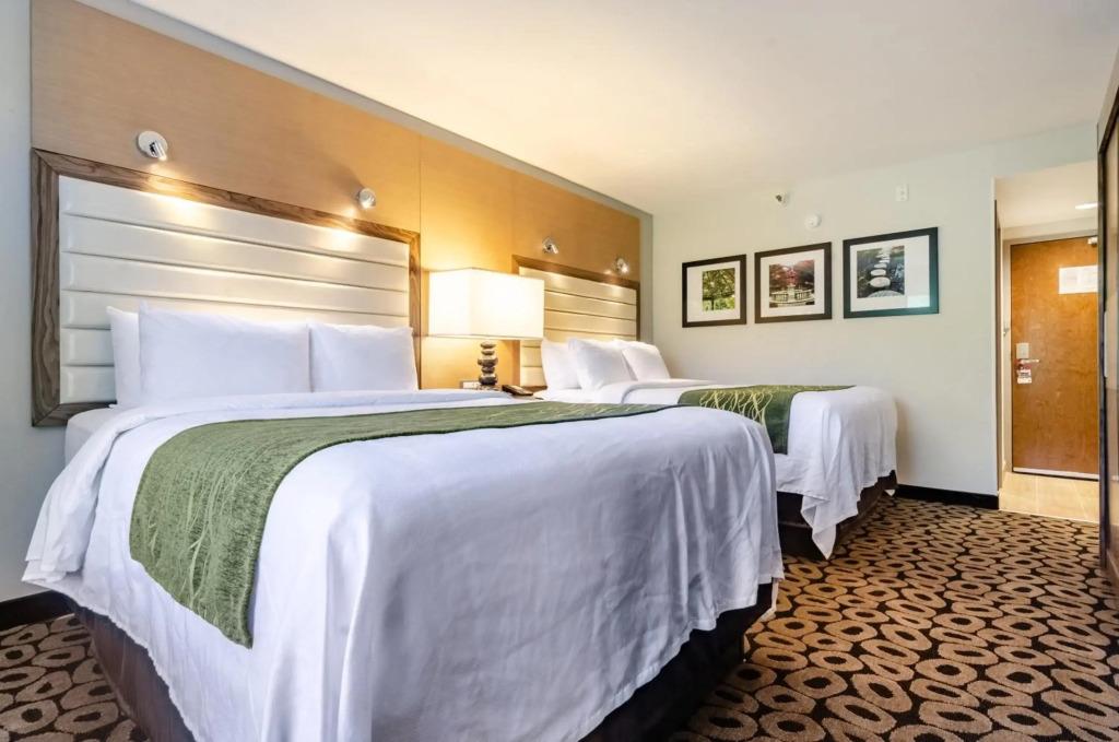 hotel image 47