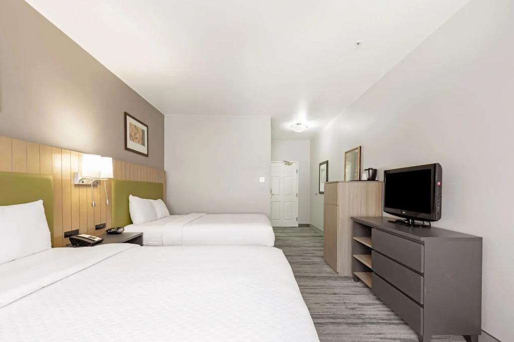hotel image 50