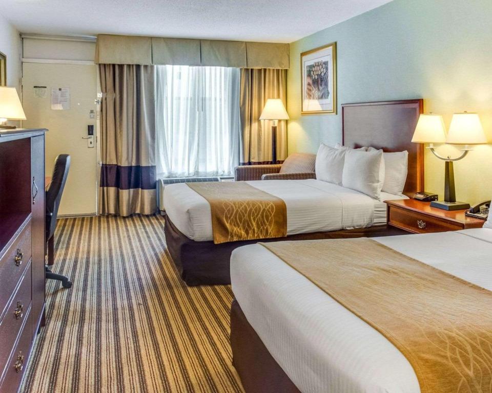 hotel image 19
