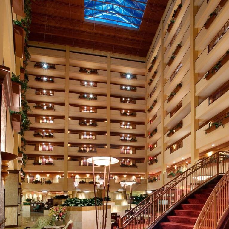 hotel image 8