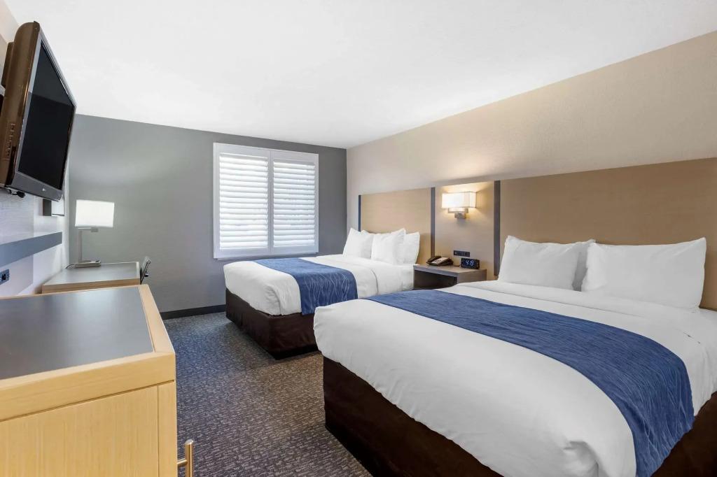 hotel image 42