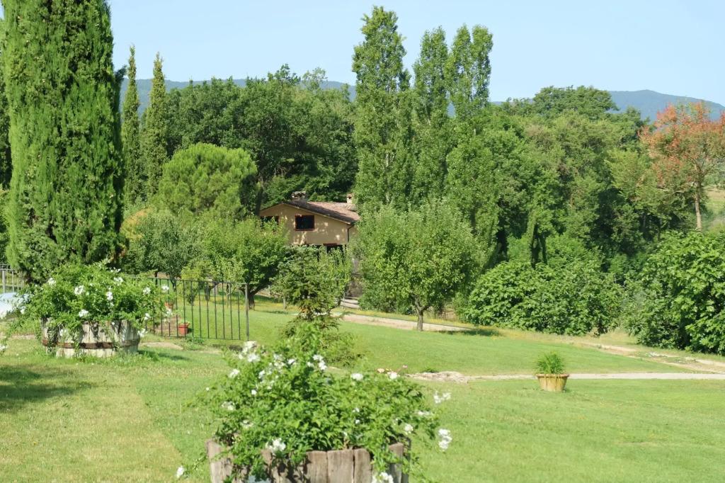 hotel image 25
