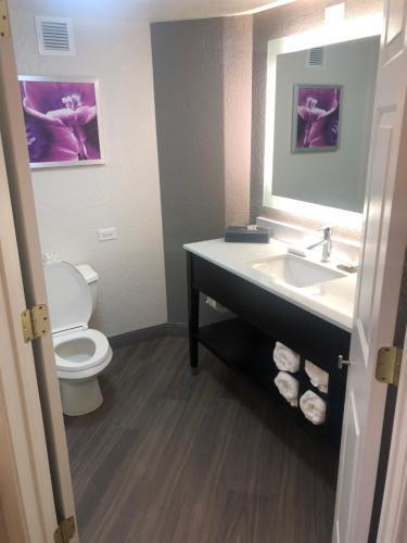 hotel image 16
