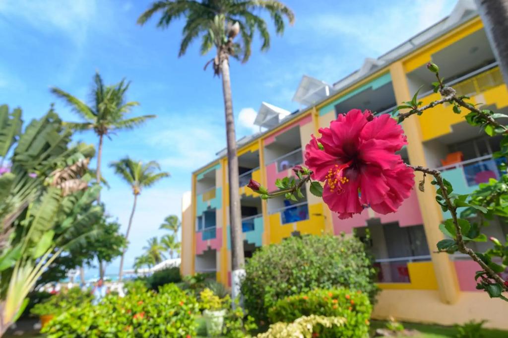 hotel image 24
