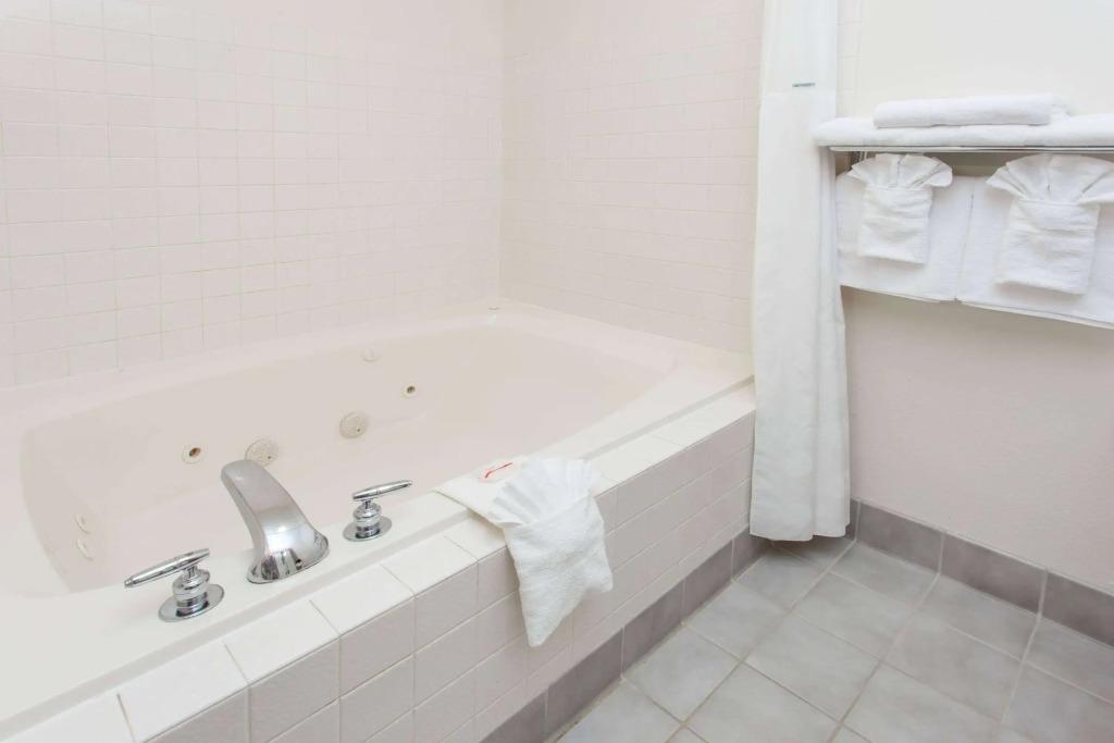 hotel image 15