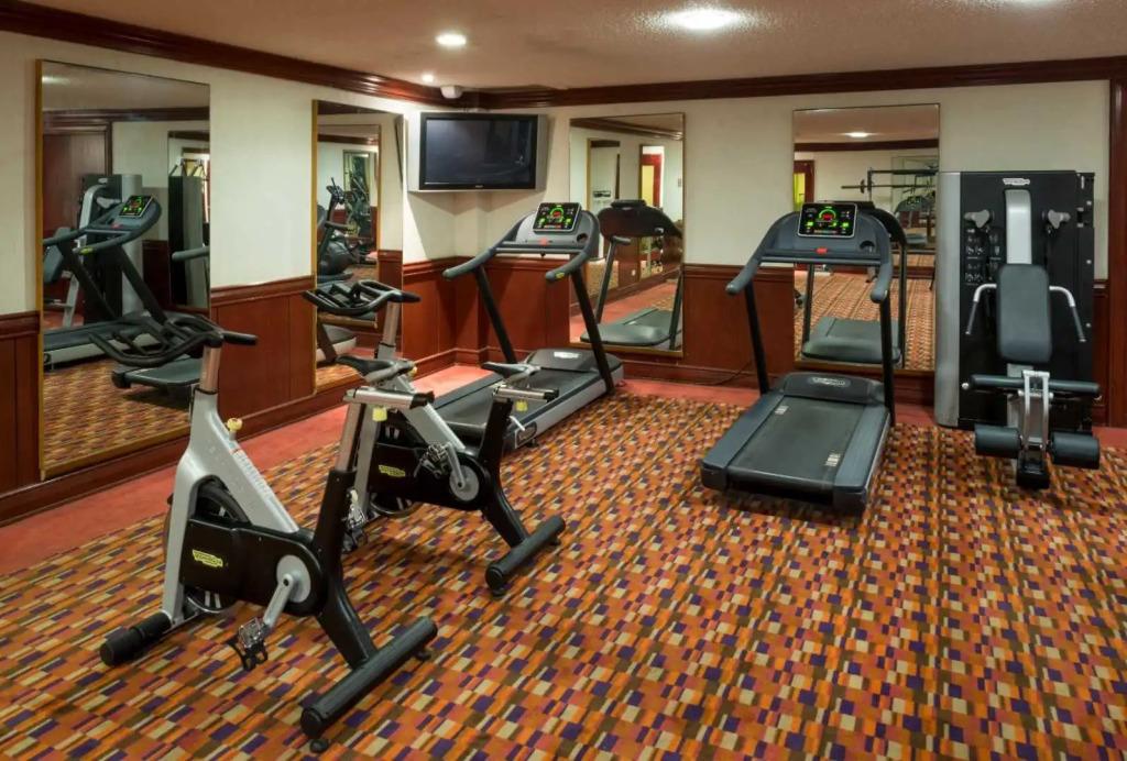 hotel image 16