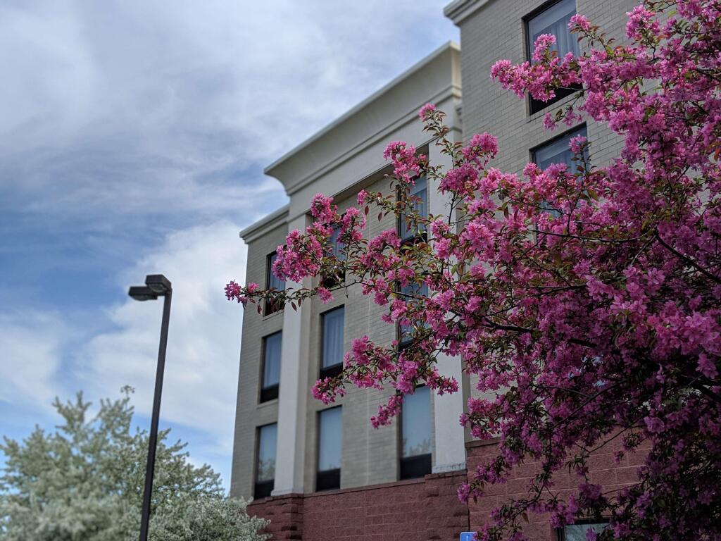 hotel image 8