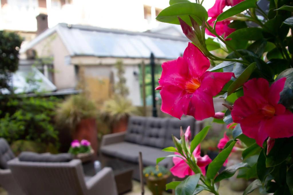 hotel image 24