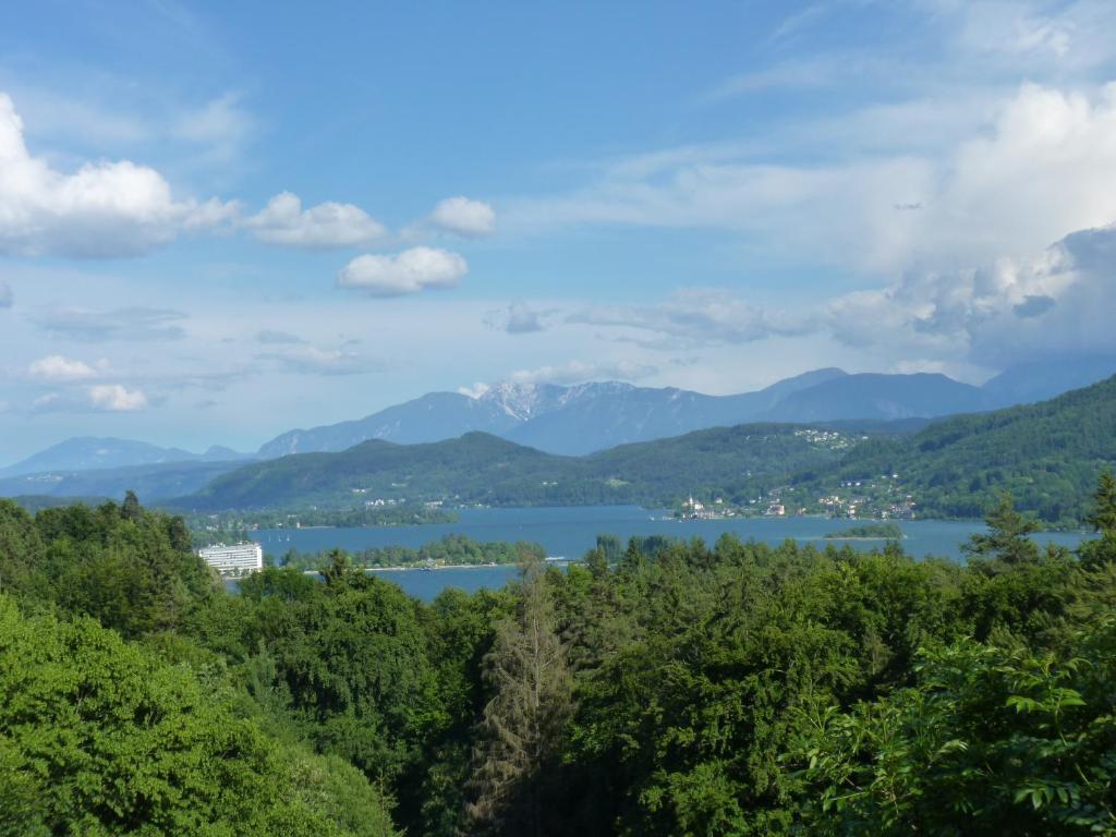 hotel image 16