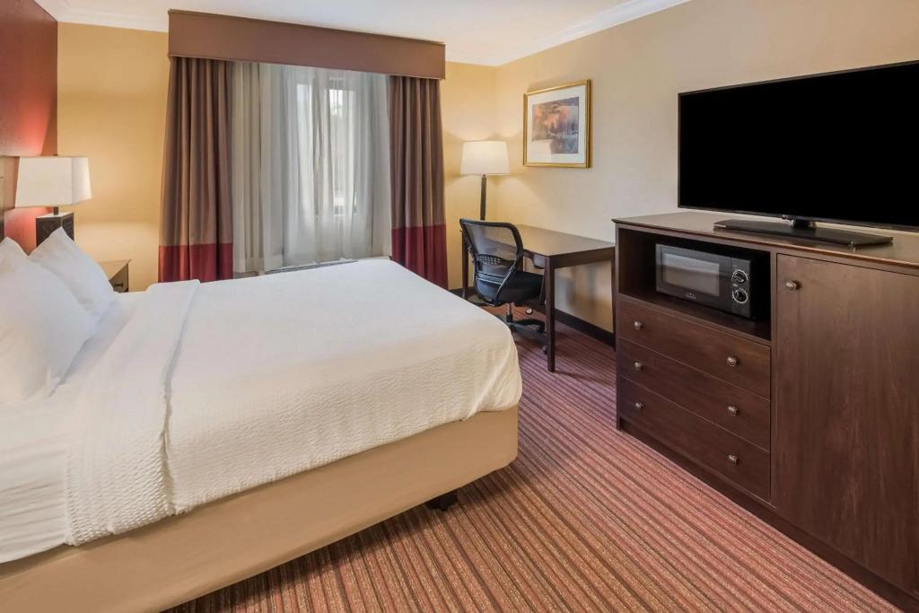 hotel image 16