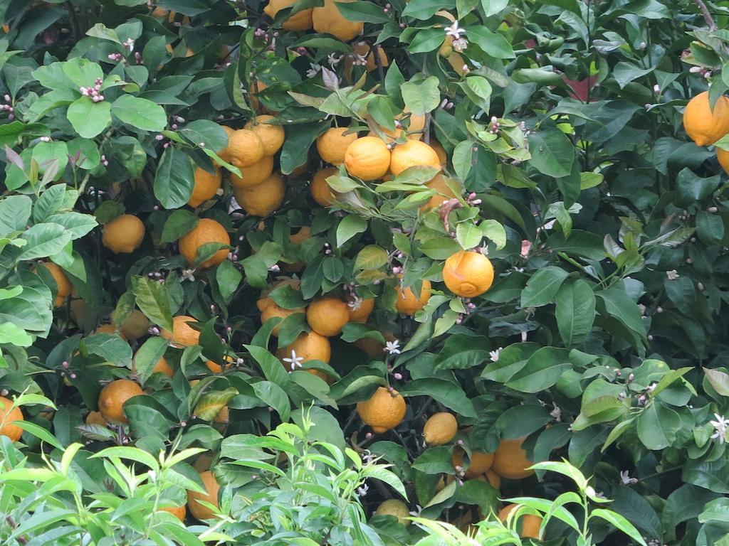 hotel image 32