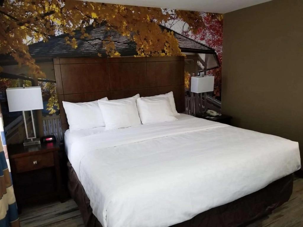 hotel image 27