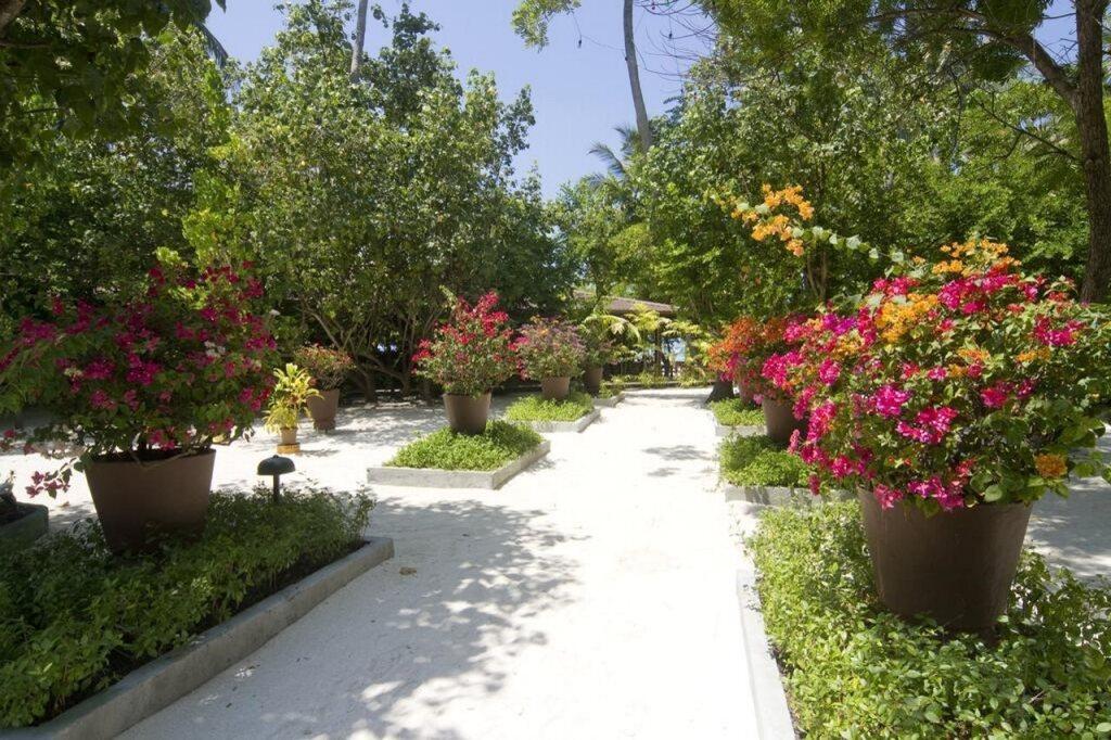 hotel image 16