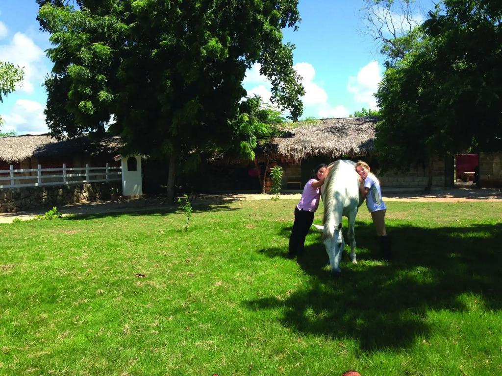 hotel image 29