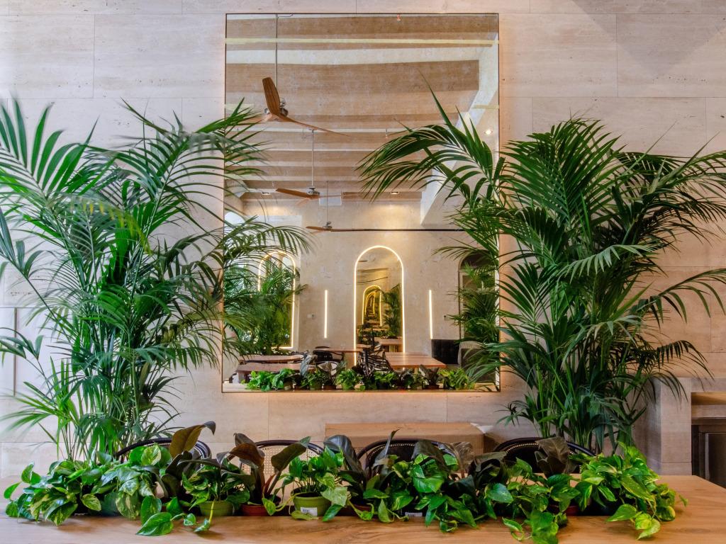 hotel image 31