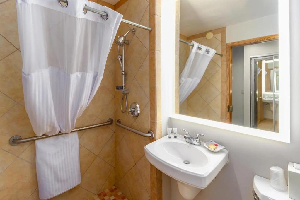 hotel image 20